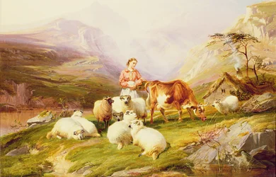 Vache et moutons dans un pâturage de montagne